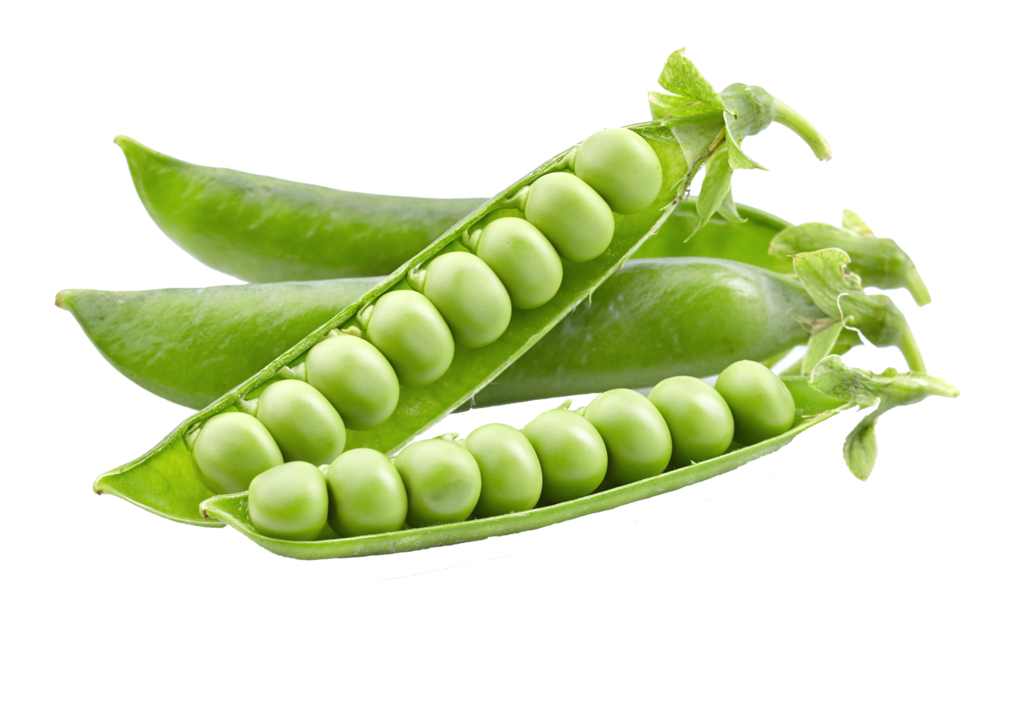 pea_PNG24331